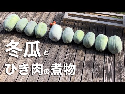 簡単な冬瓜とひき肉の煮物の作り方　Easy Winter Melon and Minced Meat Stew Tutorial