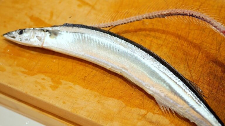 骨が1本もないサンマの塩焼きの作り方。