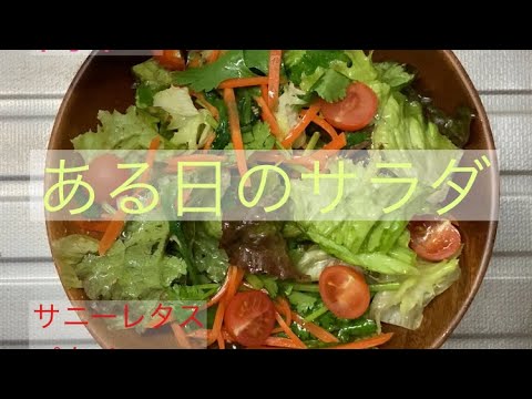 ある日のサラダ／簡単サラダアイデア／サニーレタス　パクチー　にんじん　ミニトマト　ほうれん草