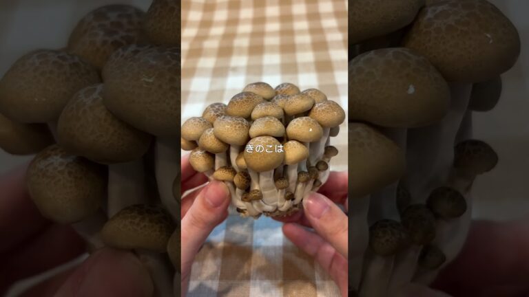 🐟鮭ときのこのガリバタ醤油🍄