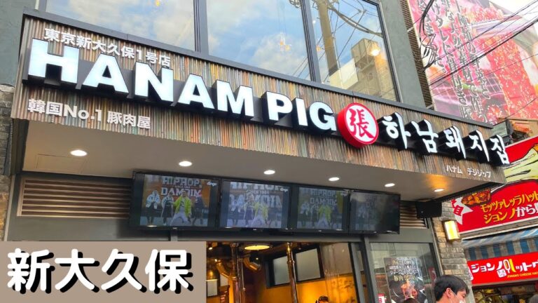 [4K|도쿄생활] 新大久保で韓豚が食べられる豚肉屋さんハナムテジジップ、新宿他