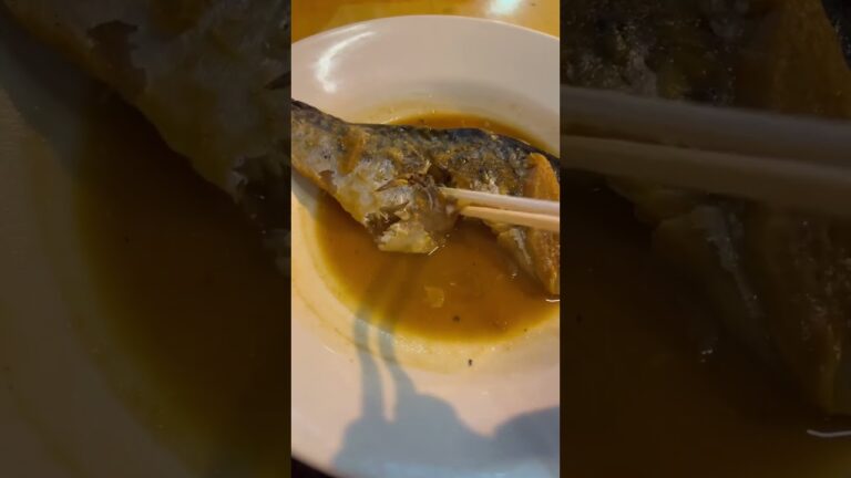 【サバみそ定食】550円！#shorts＃サバ味噌