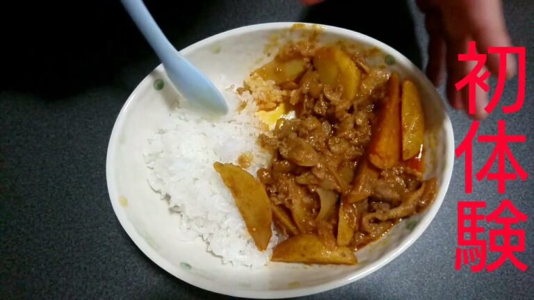 独身飯！炒めるだけで激うまハッシュドビーフ！【語り飯】