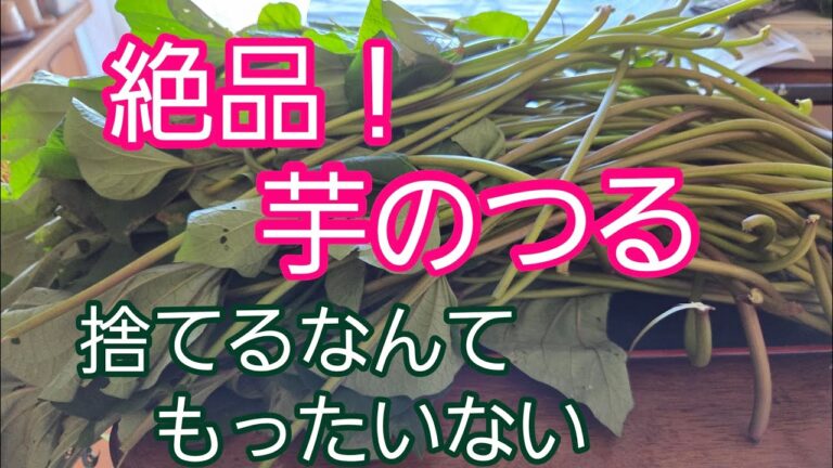 芋のつる　捨てないで