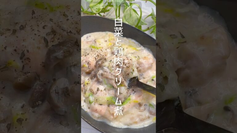 身体ぽっかぽか！白菜と鶏肉のクリーム煮 #shorts