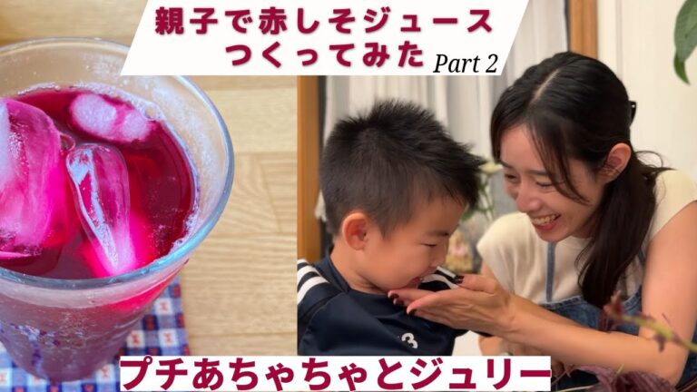 【親子クッキング】赤しそジュースつくってみたPart2