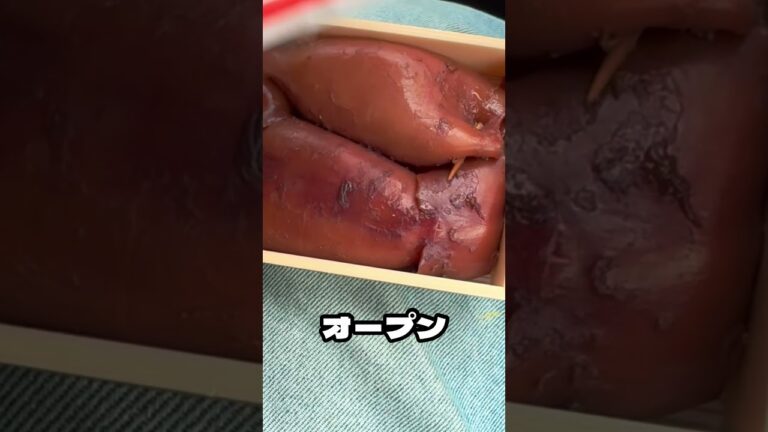 北海道を代表する駅弁いかめし