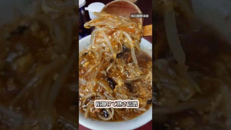 毎日酸辣湯麺（世田谷区喜多見 玉蘭）