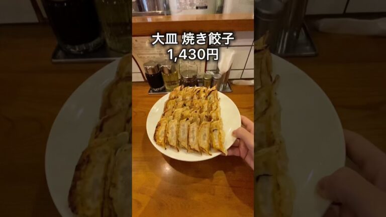 【多すぎる】1人じゃ食べきれない大皿焼き餃子