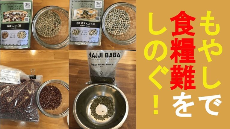 食糧難をしのぐ！だけでなく、その先を見据えて行動していきましょう。