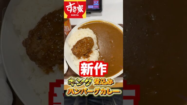 【すき家】煮込みハンバーグカレーをキングサイズにして大食いするぼっち