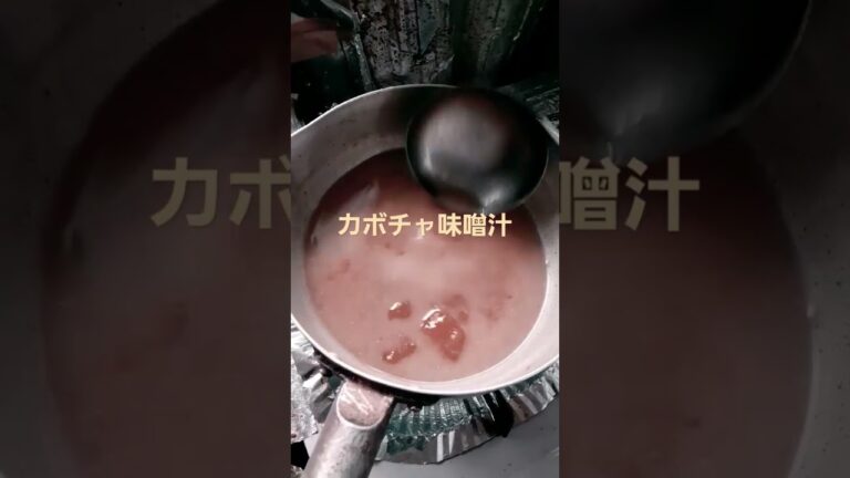 かぼちゃの味噌汁 #shortvideo #shortsfeed　#shorts  #short