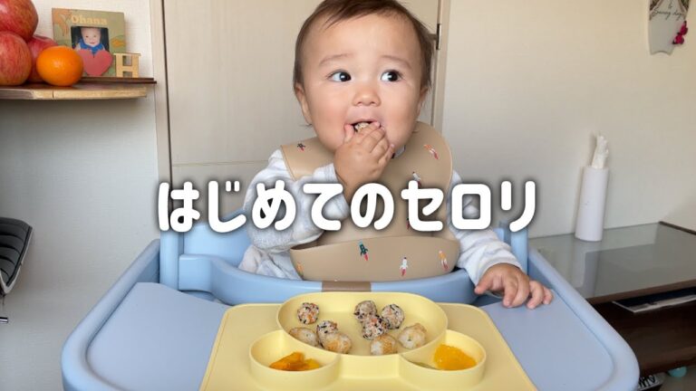 嫌いな食べ物が判明⁉️セロリが入ったワンプレートランチ 【1歳0ヶ月】