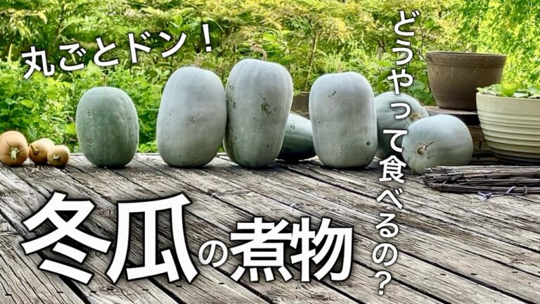 【冬瓜レシピ】上品な出汁で薄味に　大きな冬瓜と厚揚げのやさしい煮物