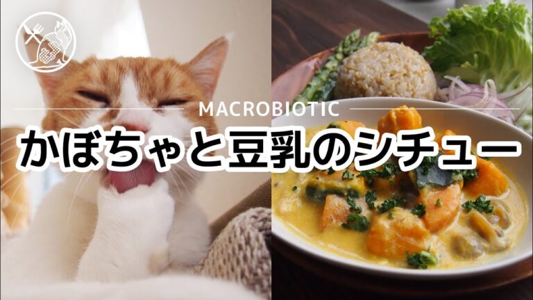 【ねことめし】マクロビ「かぼちゃと豆乳のシチュー」 #マクロビ #マクロビオティック #ダイエット