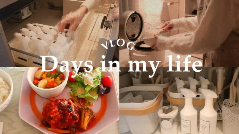 [私の家事日記][Clean with me🧼]お昼ごはん | ひたすら掃除する | 大掃除 | 整える収納 | 動いた後の夜ごはん｜キッチンと洗面台下の掃除・収納