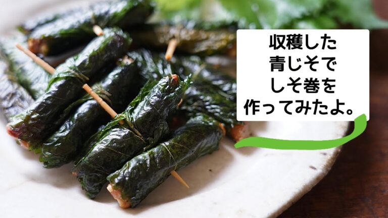 【しそ巻き】紫蘇味噌巻きを作ってみました。郷土料理に挑戦！青じそレシピ/作り方