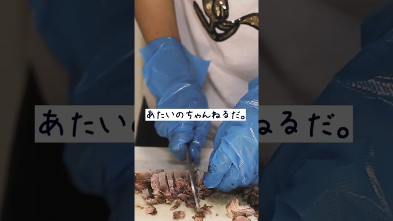 【超絶絶品！！】チャーシュー、ネギチャーシュー