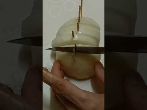 【材料１つだけ】焼くのも簡単！玉ねぎソテー #おうちごはん #簡単 #時短 #節約 #バーベキュー #bbq #shorts