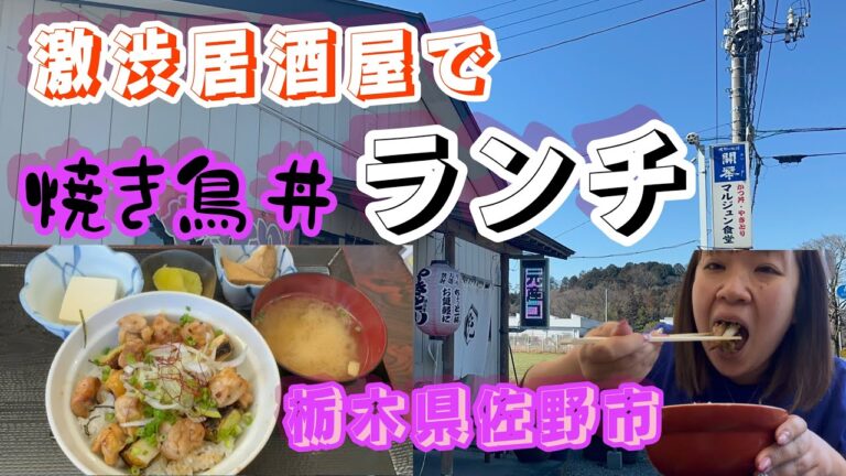 【佐野市】マルジュン食堂💚昭和レトロな渋い居酒屋さんでランチ✨焼き鳥丼がうますぎる😍定食メニューも豊富で何食ってもうまい🤲唐揚げの味付けがすごく美味かった🥺そして、煮込みうどんであったまる😋