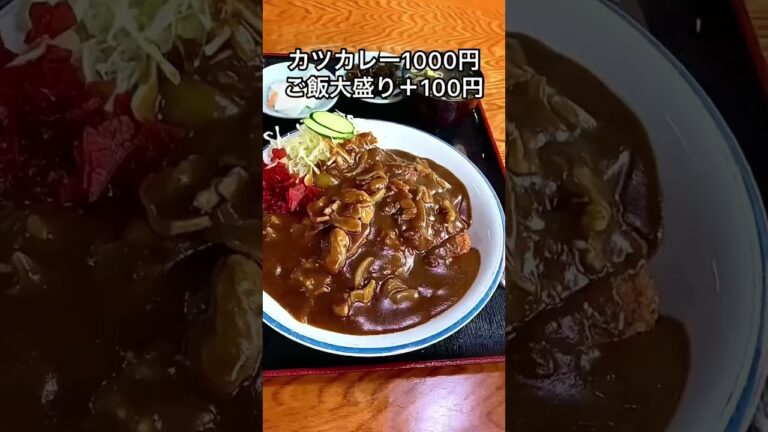 老舗食堂のデカ盛りカツカレー【栃木県那須烏山市】富士食堂【栃木グルメ】#shorts