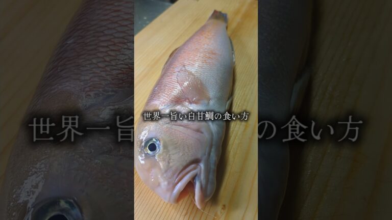 世界一旨い白甘鯛の食い方 #shorts