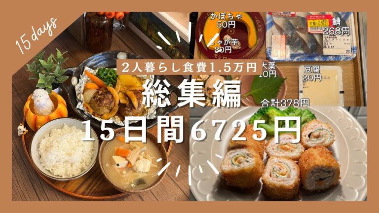 【保存版】二人暮らし食費1.5万円|15日間6725円で作る献立｜節約晩ごはん総集編｜🦤🧺🤎