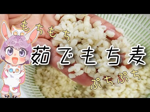 【栄養豊富】茹でもち麦の作り方・保存方法【つぶめし】