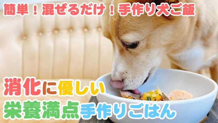 【簡単手作り犬ご飯】消化に優しい栄養満点手作りごはん【帝塚山ハウンドカム】