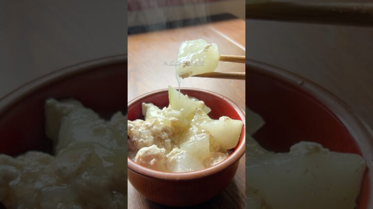 やさしそうに見えてただものじゃない　冬瓜のそぼろ煮