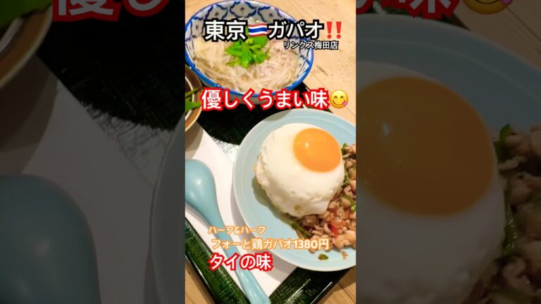 優しい味😊フォー&ガパオ✨東京ガパオ‼️#shorts #タイ料理 #ガパオライス