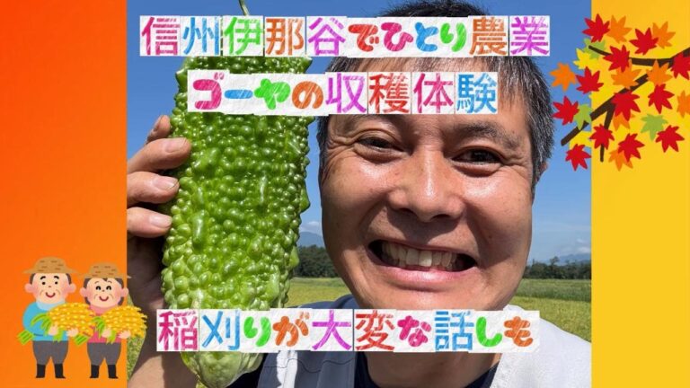 🌾豊作なのに頭が痛い？🫩　　　　家庭菜園ヤルなら　やっぱりこの野菜がおすすめ✅