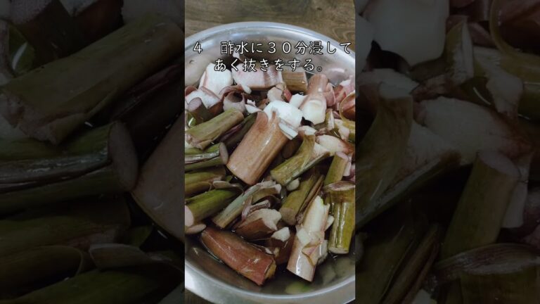 60秒で解説！ずいきの下処理　#shorts #タイロン農園 #ずいき　#芋茎