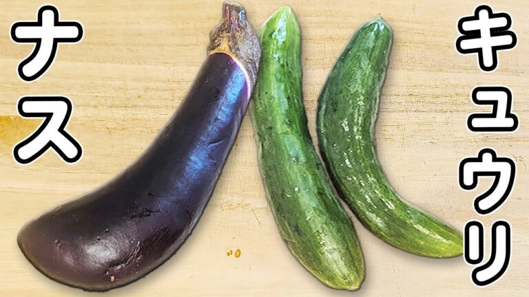 【キュウリとナスのレシピ】簡単塩昆布漬けの作り方！切って和えるだけ！塩昆布と白だしでお手軽に♪火を使わずに作る、箸が止まらない程美味しい浅漬けレシピ