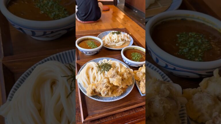 愛知県で1番美味しいざるカレーうどん