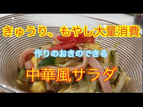 もやし、きゅうり大量消費！！中華風サラダ