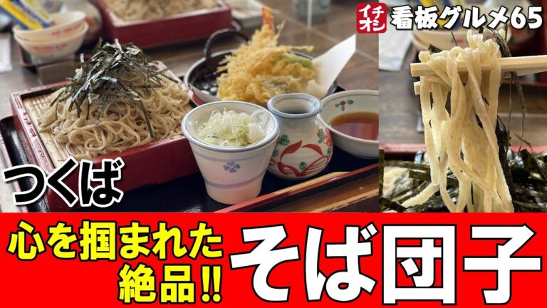 【茨城グルメ】究極のそばだんご × 天ざるの魅力 手打蕎麦処さらしなの里 イチオシ看板グルメ６５（飲食店応援５４２）