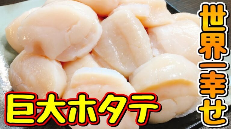【3万人記念】今日のビールは格別に旨い‼バケモノみたいな巨大ホタテを好きなだけ食べまくったら人生で一番幸せだった‼【スナップチャットのオマケ付】