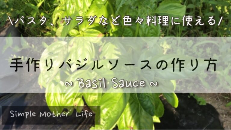 【手作りバジルソースの作り方】パスタやサラダ、色々な料理にアレンジ自在！