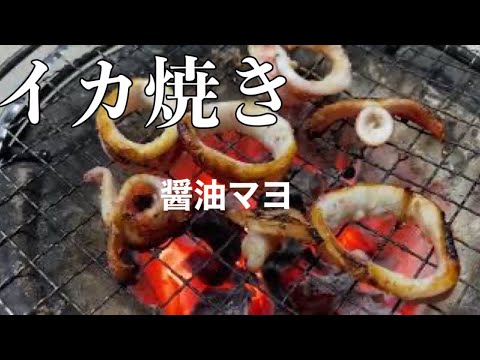 【炭火焼き】イカを炭火で焼きたくなる動画