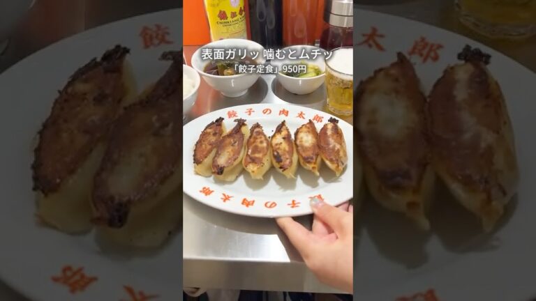 これはまさに革命！究極の餃子定食