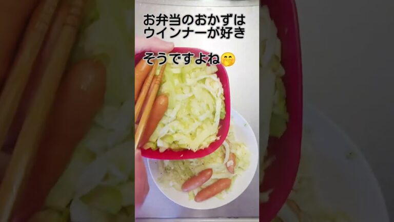ウインナーとキャベツだけ弁当 #お弁当 #節約 #お弁当作り #ずぼら料理 #手抜きご飯 #手抜き弁当 #ずぼら弁当 #ウインナー