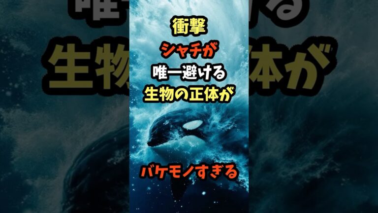 シャチが唯一避ける生物がバケモノすぎる#シャチ #危険生物 #shortvideo