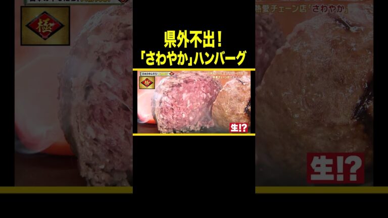 食べたら忘れられないハンバーグ🍴 #shorts #ケンミンショー #ケンミン #ハンバーグ #さわやか #名物 #静岡 #大盛り #肉 #方言 #ご当地