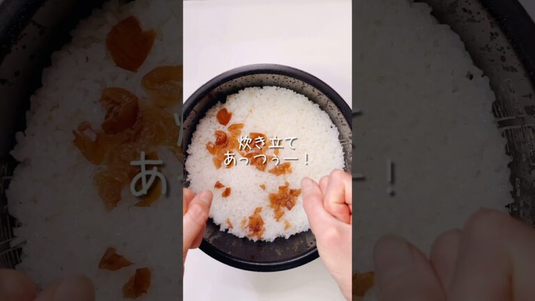 不器用さんでも作れる　梅雨の食中毒予防に梅干しごはんがおすすめ！ごはんサッパリ唐揚げ弁当#shorts