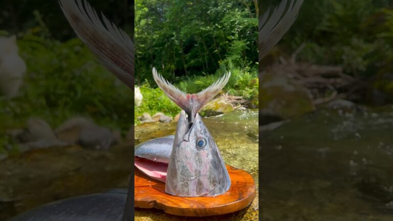 胡麻ダレマグロカツ #outdoors #asmr #nora🇯🇵 #川で料理