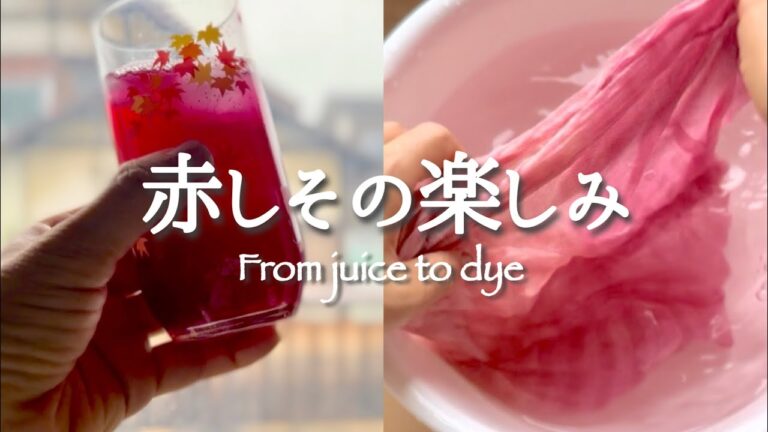 【赤しそ】梅干しだけでは勿体無い‼️ジュース作ってスカーフも染める🌿レシピ＆染め方｜循環する暮らし｜草木染め VLOG