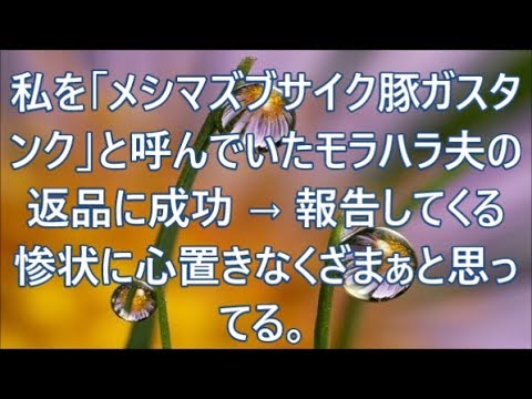 私を「メシマズブサイク豚ガスタンク」と呼んでいたモラハラ夫の返品に成功 → 報告してくる惨状に心置きなくざまぁと思ってる。