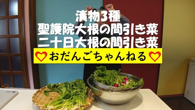 聖護院大根と二十日大根の間引き菜で　漬物3種　漬けてみたぞー