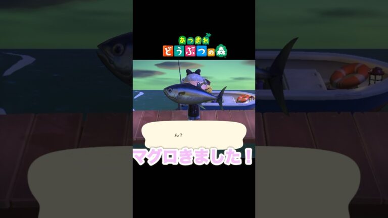 マグロ釣りに行ってきました！#あつ森 #あつまれどうぶつの森 #shorts